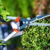 Equipamentos para jardinagem 