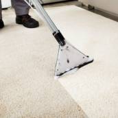 Lavagem de Tapetes e cortinas