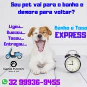 Banho e Tosa EXPRESS 