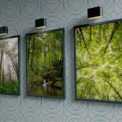 Quadro Natureza em Bauru
