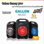 Caixa de Som Sumary 30W