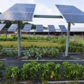 Energia Solar para Agronegócio