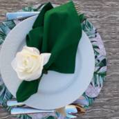 Conjunto para mesa Posta - Verde! 