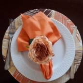 Conjunto para mesa Posta - Laranja!