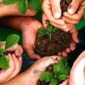 Especialização em Gestão Ambiental e Responsabilidade Social das Empresas