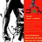Aulas de Karatê