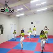 Aula Experimental de Karatê 