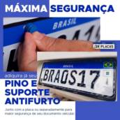 Pino e Suporte Antifurto 