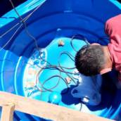Limpeza de Caixa D'agua