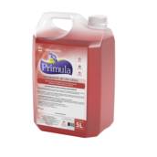 Detergente de Uso Geral