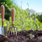 Administração e Manutenção de Jardins