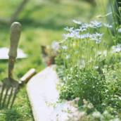 Conservação de Jardins  