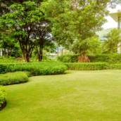 Formação de Jardins   