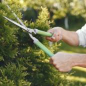 Serviços de Jardinagem