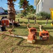 Eai, vamos cuidar do seu jardim? 
