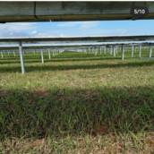 Limpeza em Usina fotovoltaicas