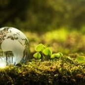 Licenciamento Ambiental