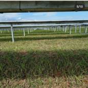 Limpeza em Usina fotovoltaicas