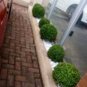 Formação de Jardins