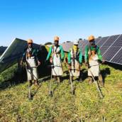 Roçagem em usina fotovoltaicas