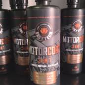 Motor coach Limpeza de Motor a Seco 500ml easytech