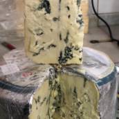 Queijo gorgonzola