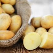 Batatas em Bauru