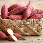 Batata Doce em Bauru