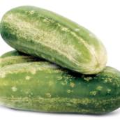 Pepino Safira em Bauru