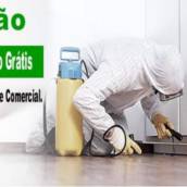 Dedetizar em Avaré