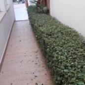 Jardinagem