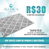 Promoção de Lavagem de Tapetes a 30,00 o metro quadrado