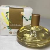 Deo Colônia Amburana