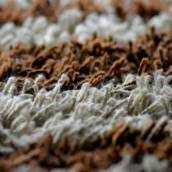  Limpeza e Higienização de tapetes