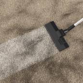  Limpeza e Higienização de carpetes