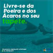Limpeza de Tapetes 