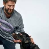 Adestramento Básico de Cães em Bauru 