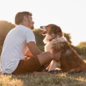 Adestrador de Cães em Bauru