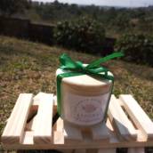 Vela Aromatizada de Cera de Coco Capim-Limão! 