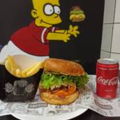 X Costela Homer