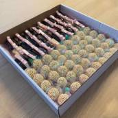 Brigadeiro