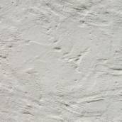 Gesso
