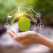 Produção de energia sem agressão ao meio ambiente