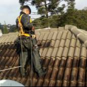 Controle de Aves