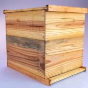 Caixa de abelha ninho sobreninho