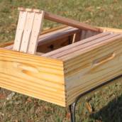 Melgueirão completo para apicultor