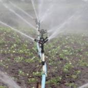 Irrigação por aspersão em Bauru