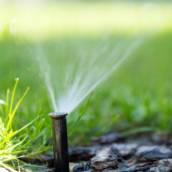 Irrigação automatizada em Bauru