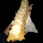 Churros de Beijinho em Bauru
