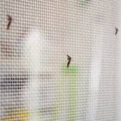 Tela Mosquiteira - Proteção Eficiente em Marília/SP
